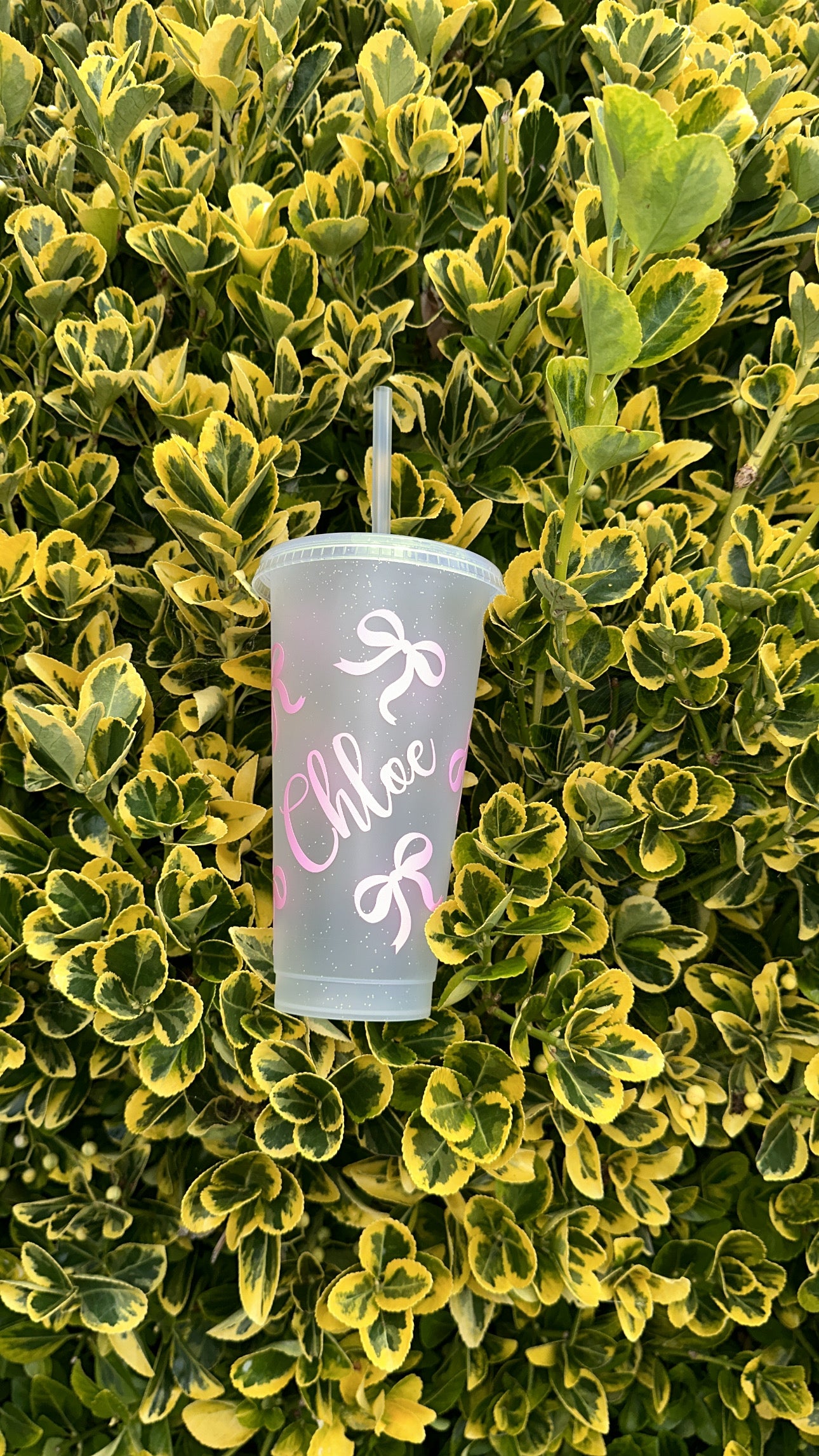 Bow 24oz Cup