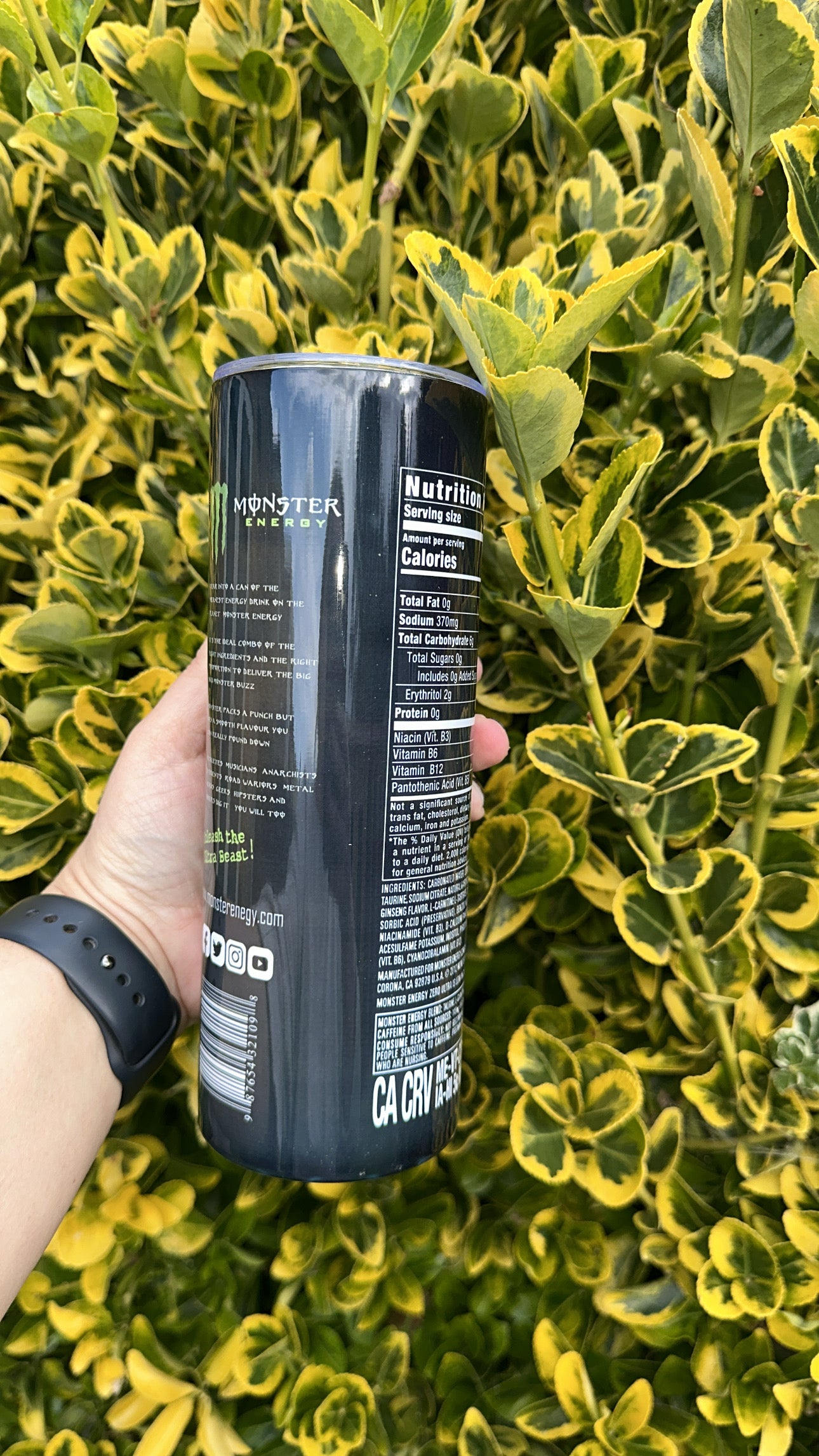 20oz Tumbler - Monster Energy Green
