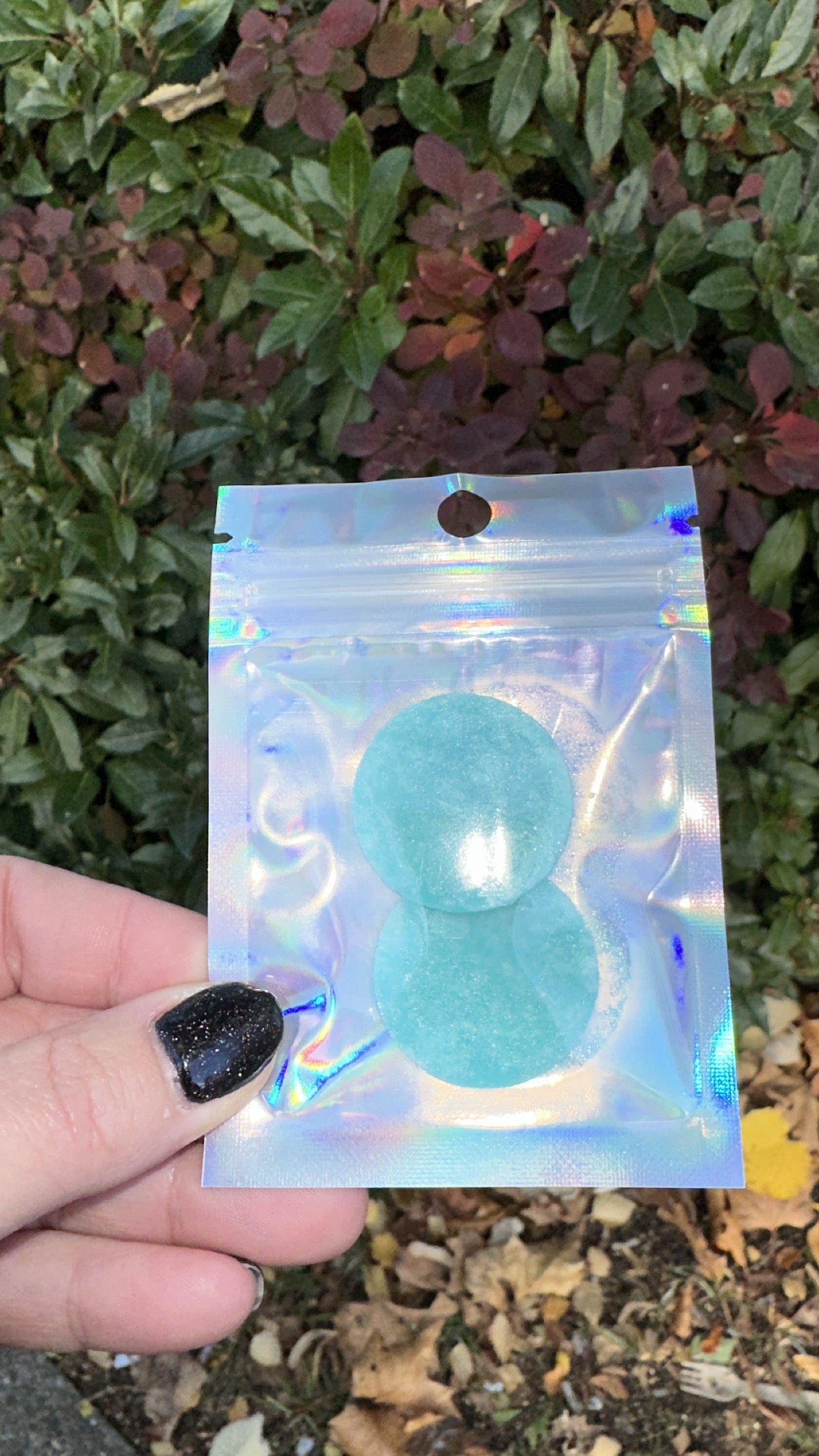 Hoover Discs (2 in pack)