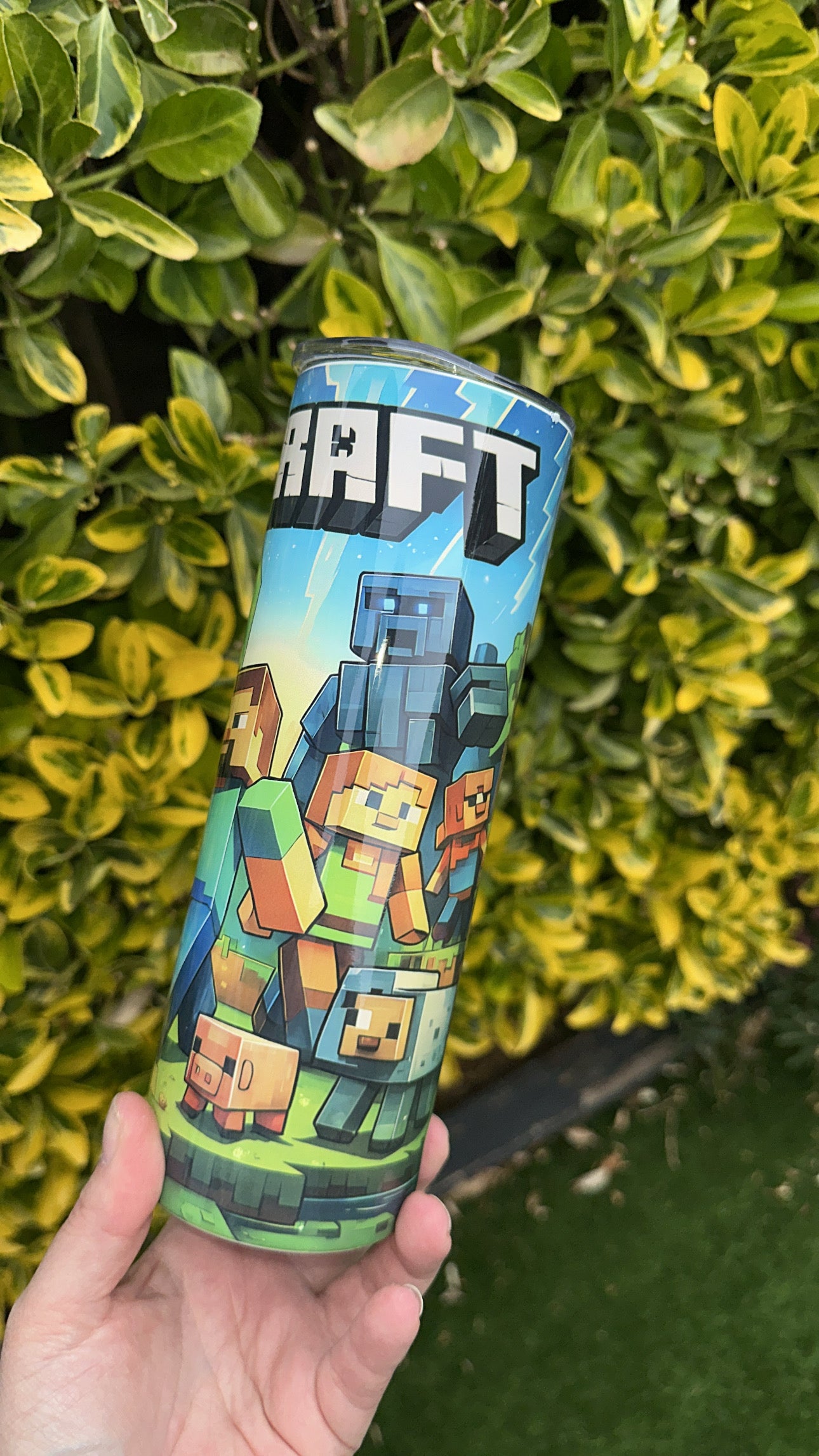 20oz Minecraft