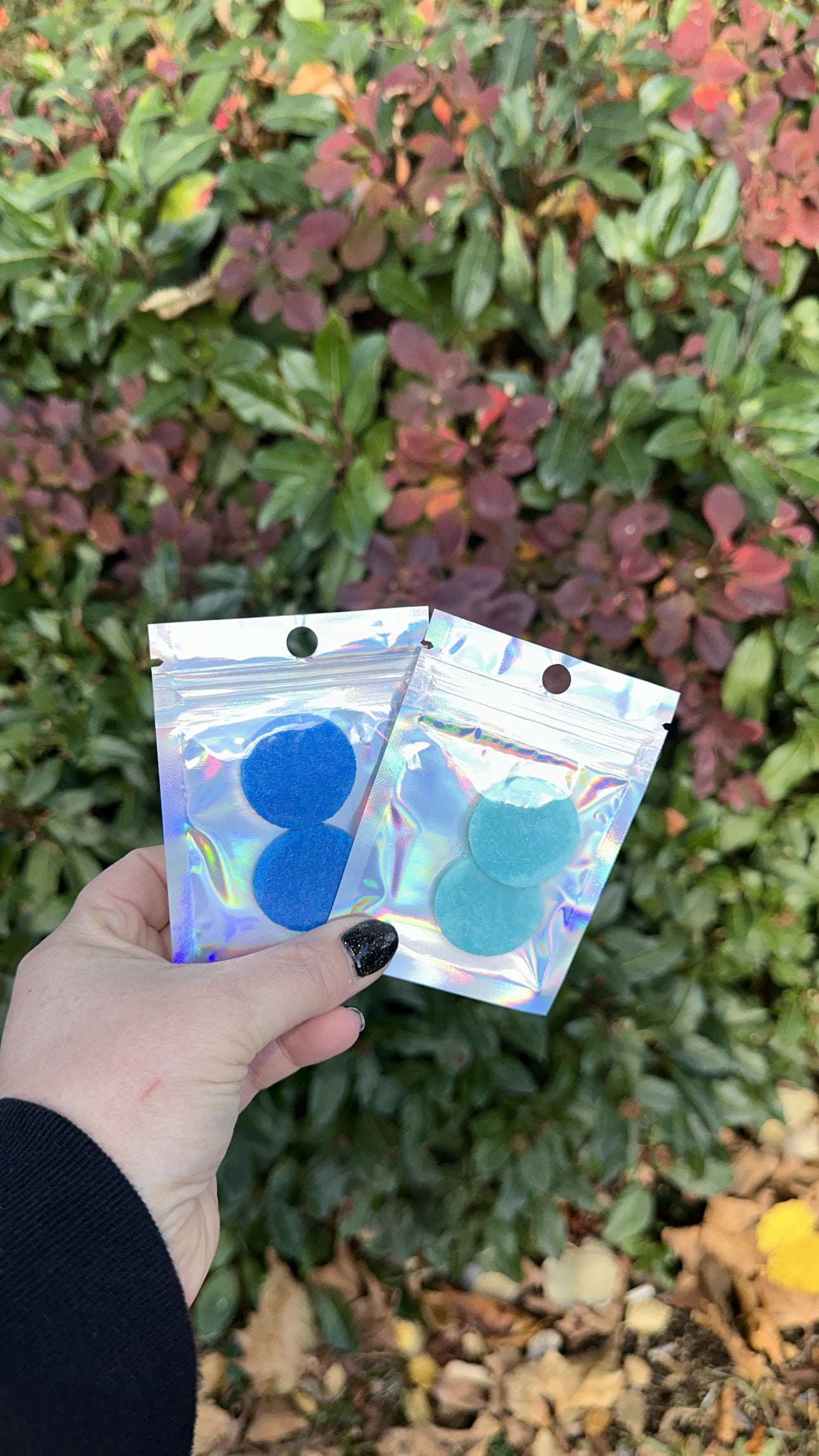 Hoover Discs (2 in pack)