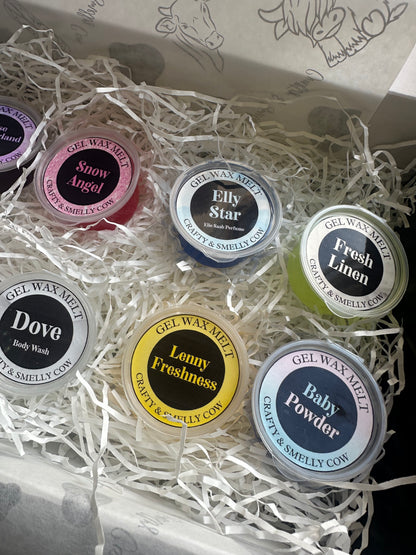 Gel Wax Melt Gift Box