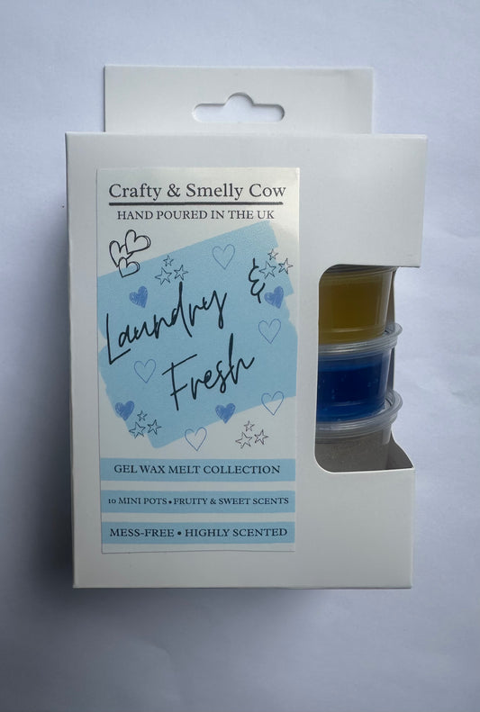 Gel Wax Melt Gift Box (10x Pots)