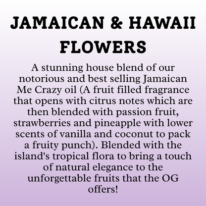 All Purpose cleaner 500ml scented