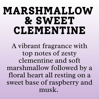 All Purpose cleaner 500ml scented